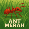 ANT_Merah