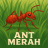 ANT_Merah