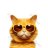 Yellowcat