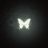 Butterflynight
