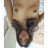 MrsFrelly